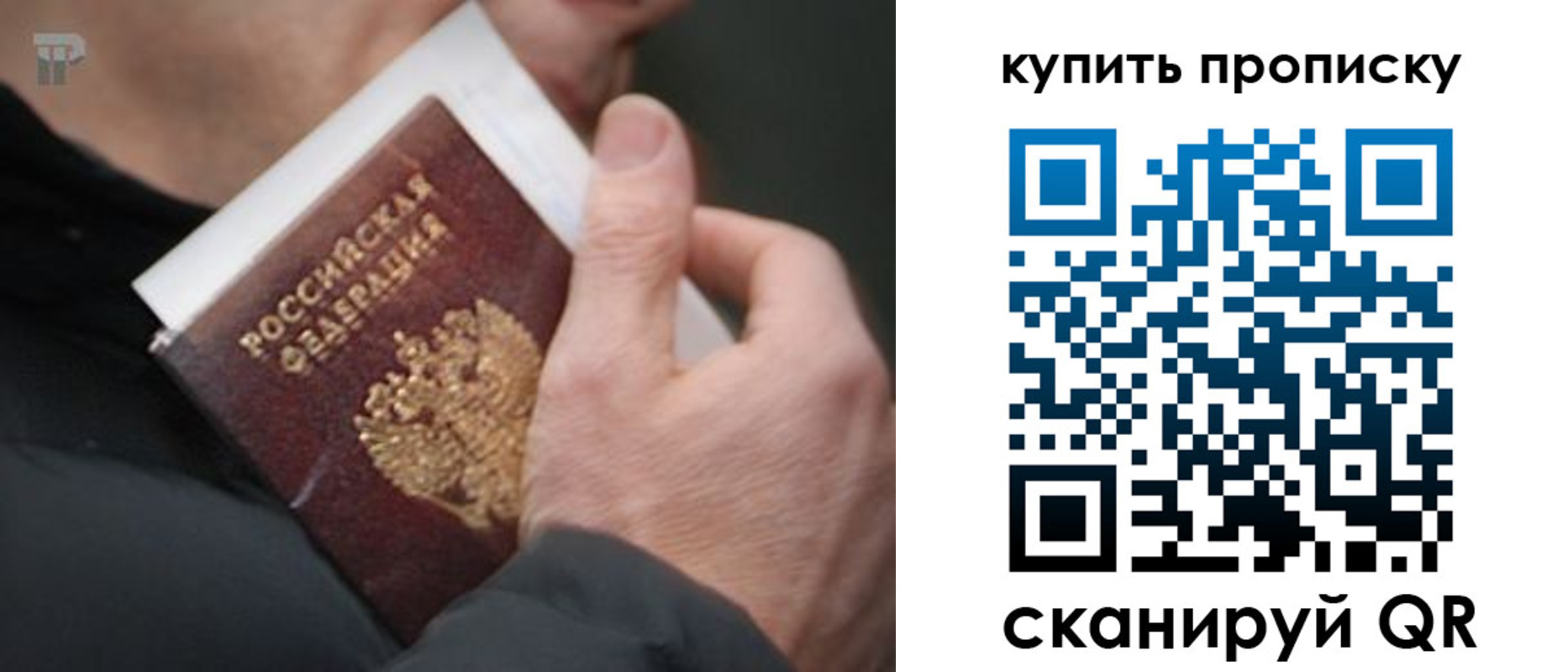 прописка гарантия в Балаково